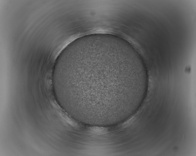 X0000113081170200909110956