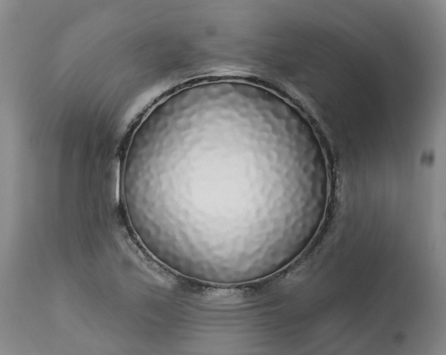 X0000113081171200909110956