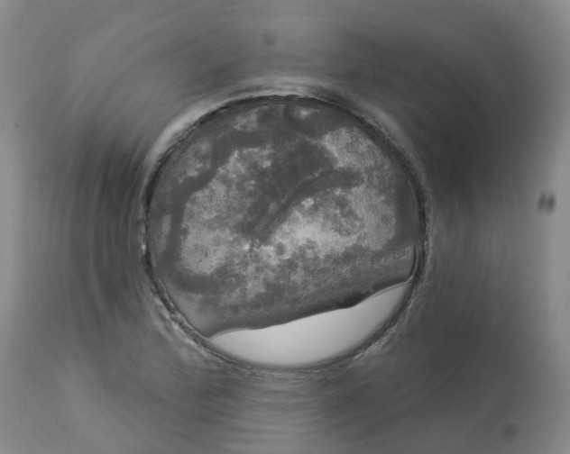 X0000113081172200909110956