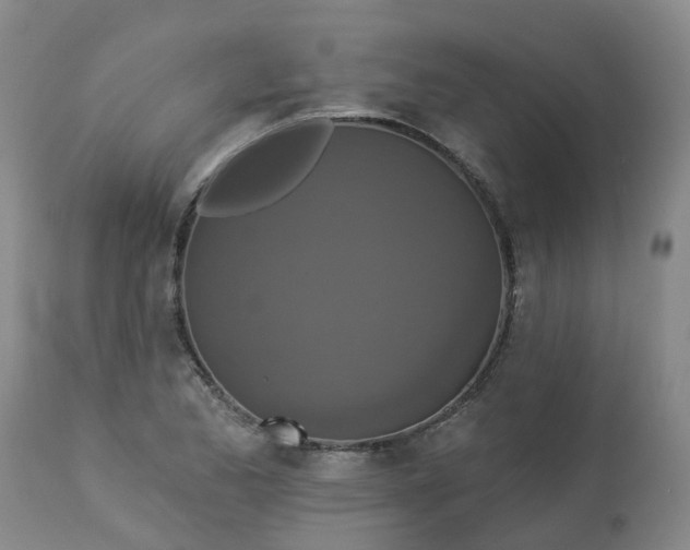 X0000113081173200909110956