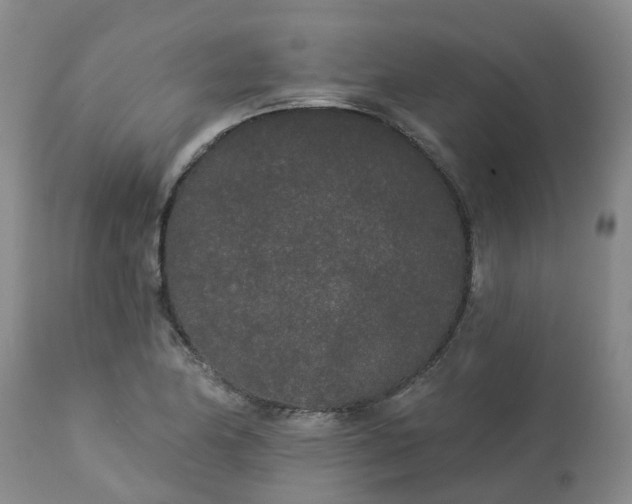 X0000113081174200909110956