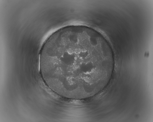 X0000113081175200909110956