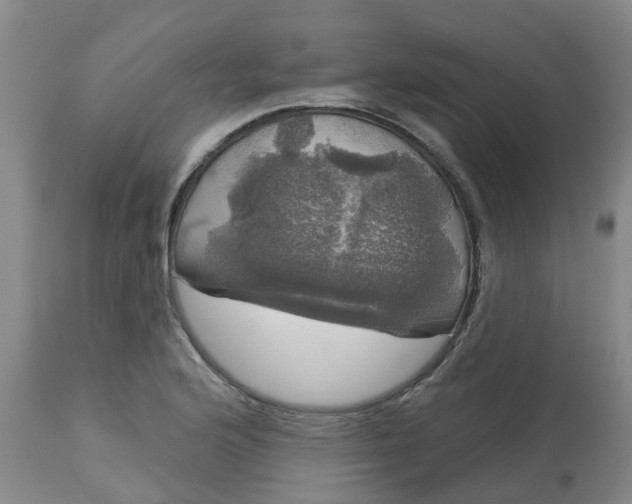 X0000113081176200909110956