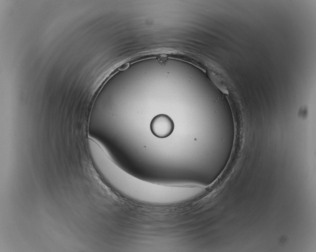 X0000113081177200909110956