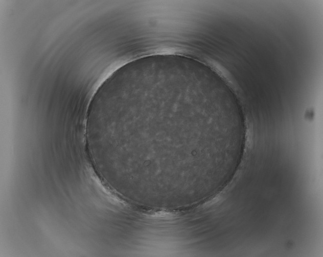 X0000113081178200909110956