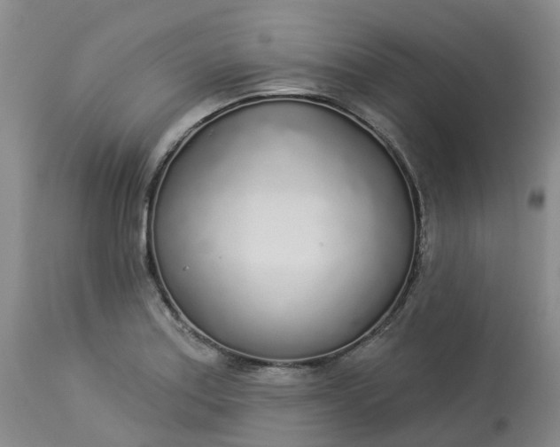 X0000113081179200909110956