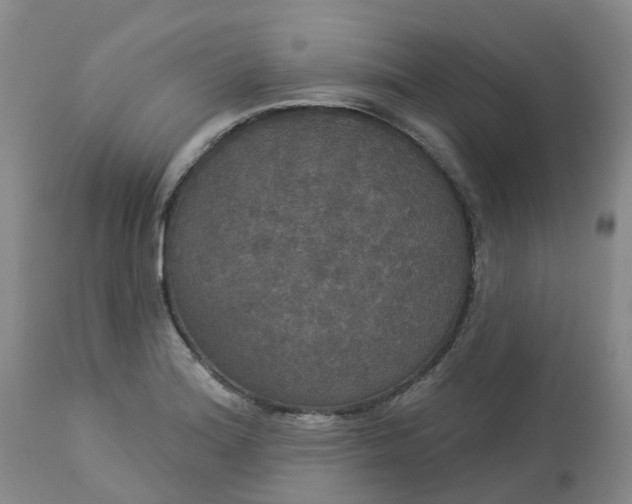 X0000113081180200909110956