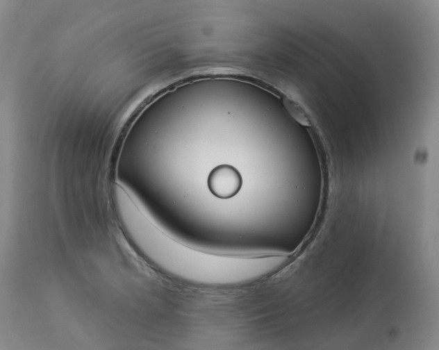 X0000113081181200909110956