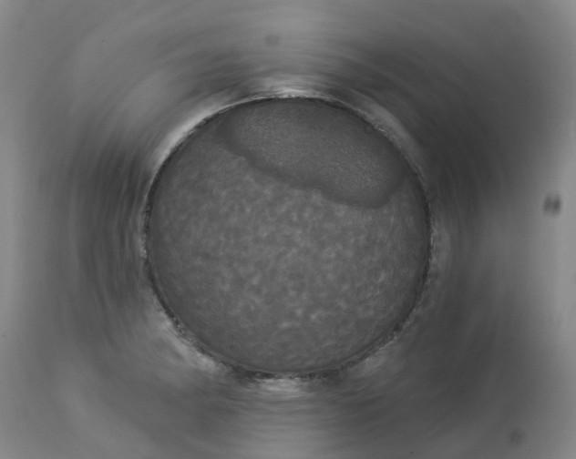 X0000113081182200909110956