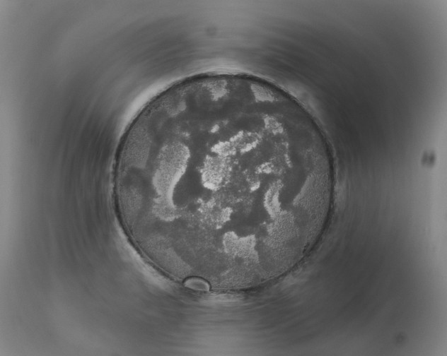 X0000113081183200909110956