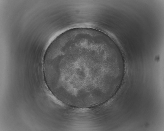 X0000113081184200909110956