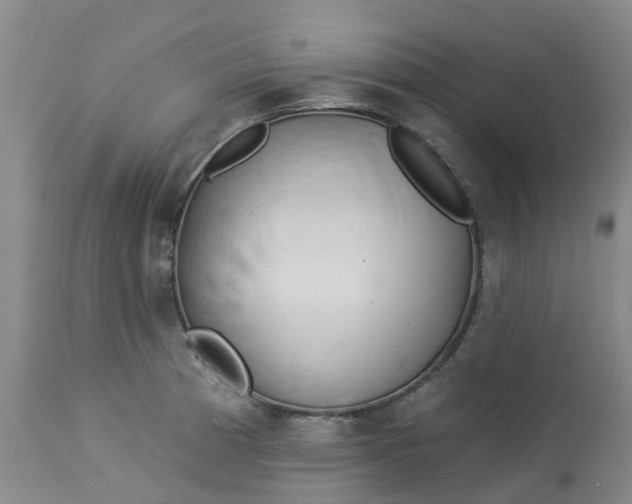 X0000113081185200909110956