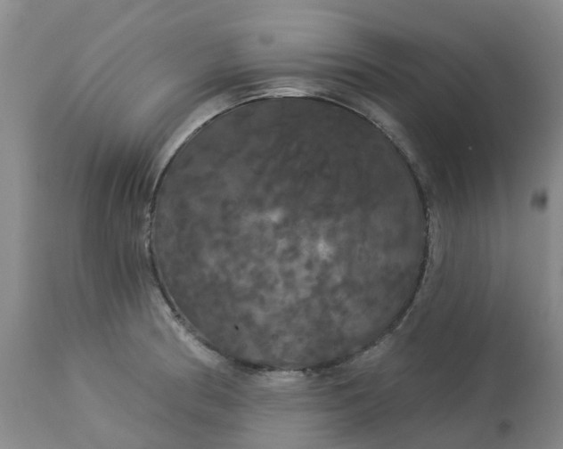 X0000113081186200909110956