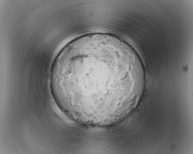 X0000113081187200909110956