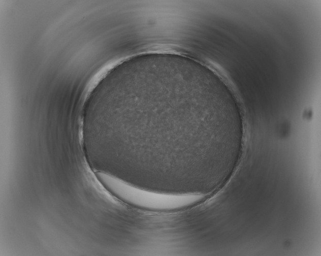 X0000113081188200909110956