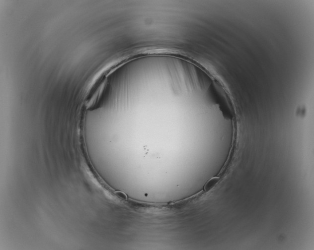 X0000113081189200909110956