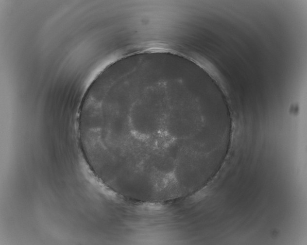 X0000113081190200909110956