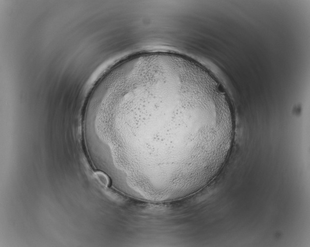 X0000113081191200909110956