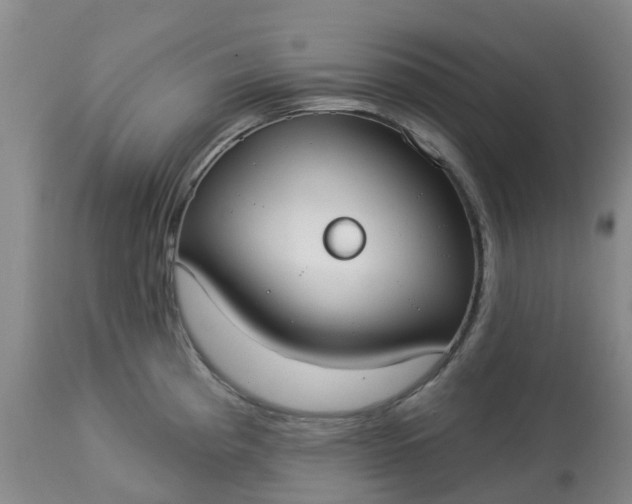 X0000113081193200909110956