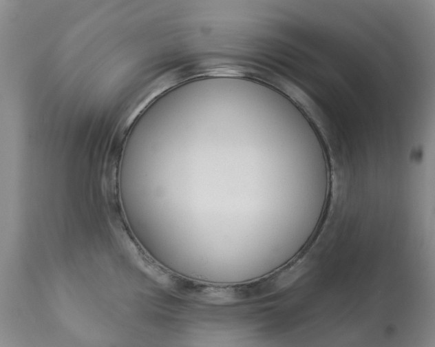 X0000113081194200909110956