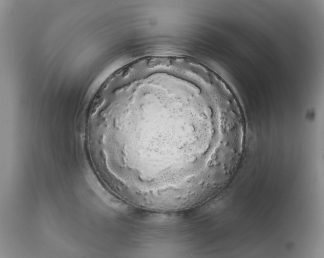 X0000113081195200909110956