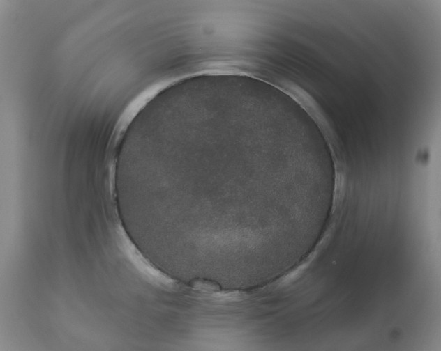 X0000113081196200909110956