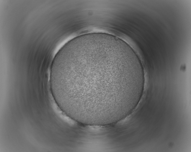 X0000113081198200909110956