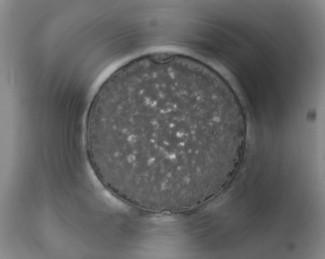 X0000113081199200909110956