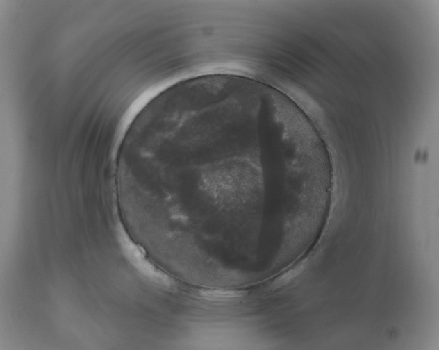 X0000113081200200909110956