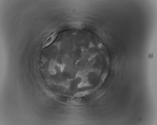 X0000113081201200909110955