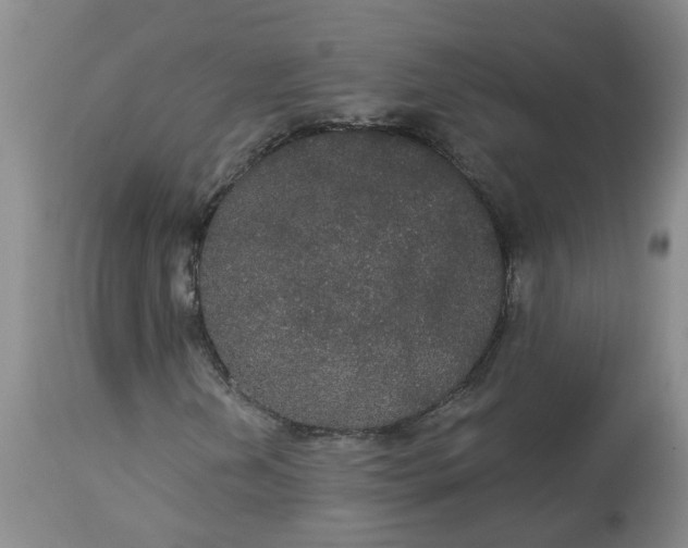 X0000113081202200909110955