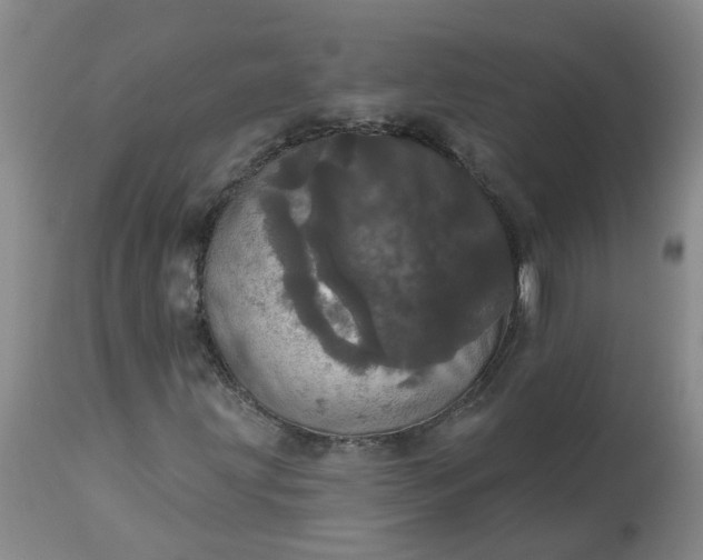 X0000113081203200909110955