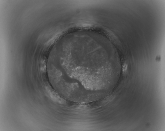 X0000113081204200909110955