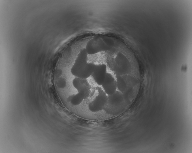 X0000113081205200909110955