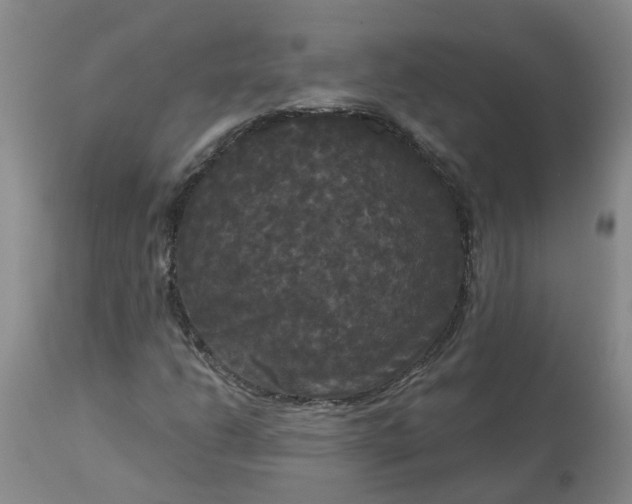 X0000113081206200909110955