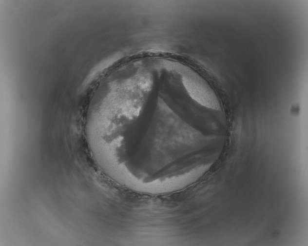 X0000113081207200909110955