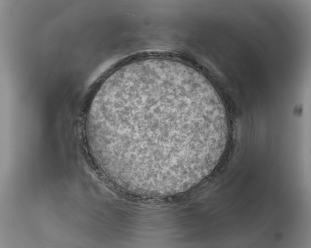 X0000113081208200909110955