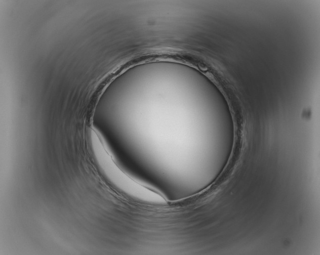 X0000113081209200909110955