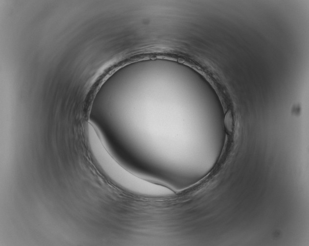 X0000113081210200909110955