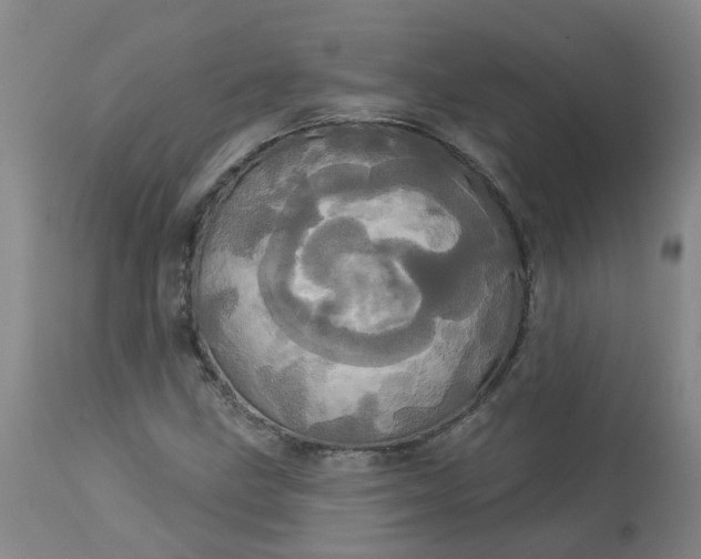 X0000113081211200909110955