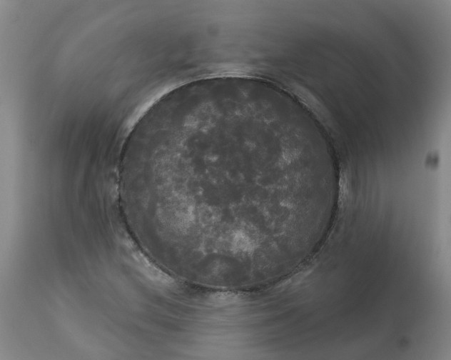 X0000113081212200909110955