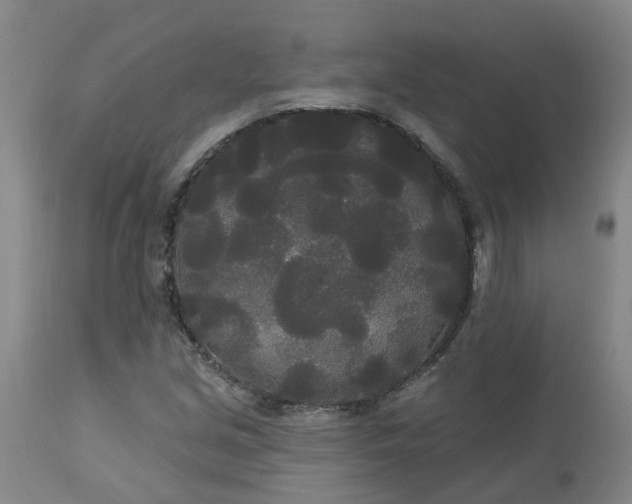 X0000113081213200909110955