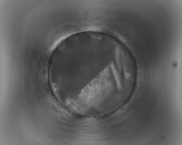 X0000113081214200909110955