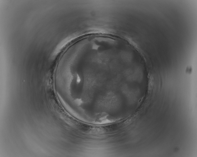 X0000113081215200909110955