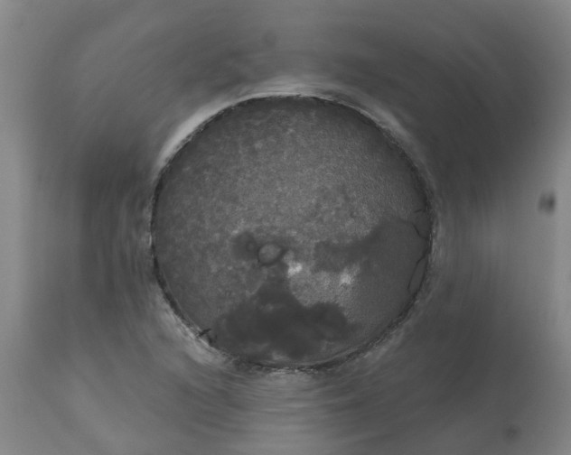 X0000113081216200909110956