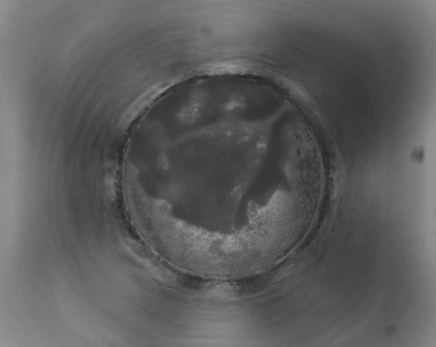 X0000113081217200909110956