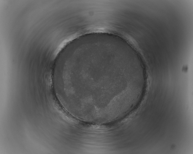 X0000113081218200909110956