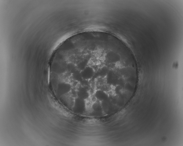 X0000113081219200909110956