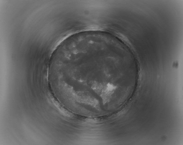 X0000113081220200909110956