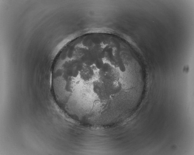 X0000113081221200909110956